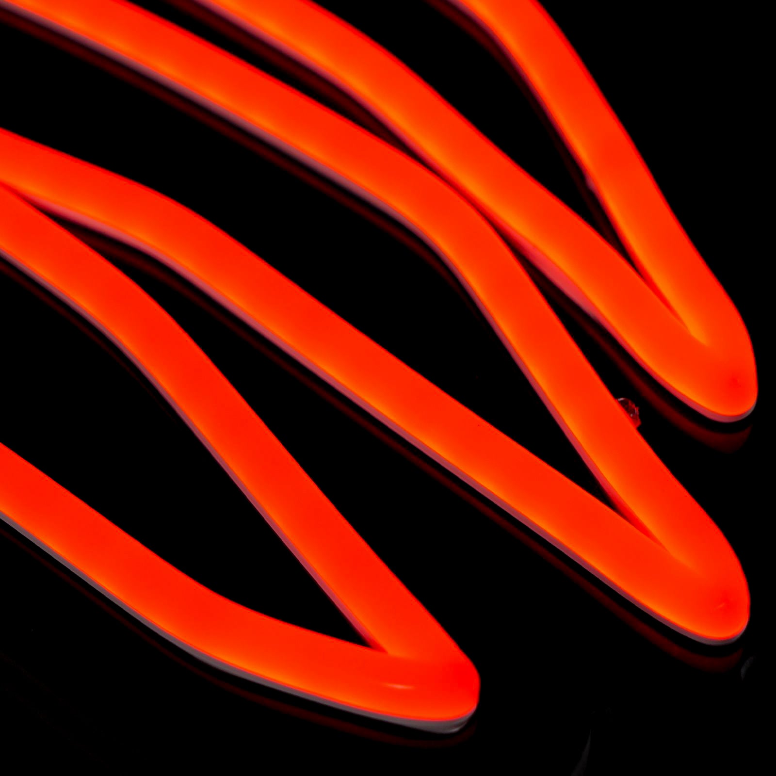 Dragon Claws (Pre-order)