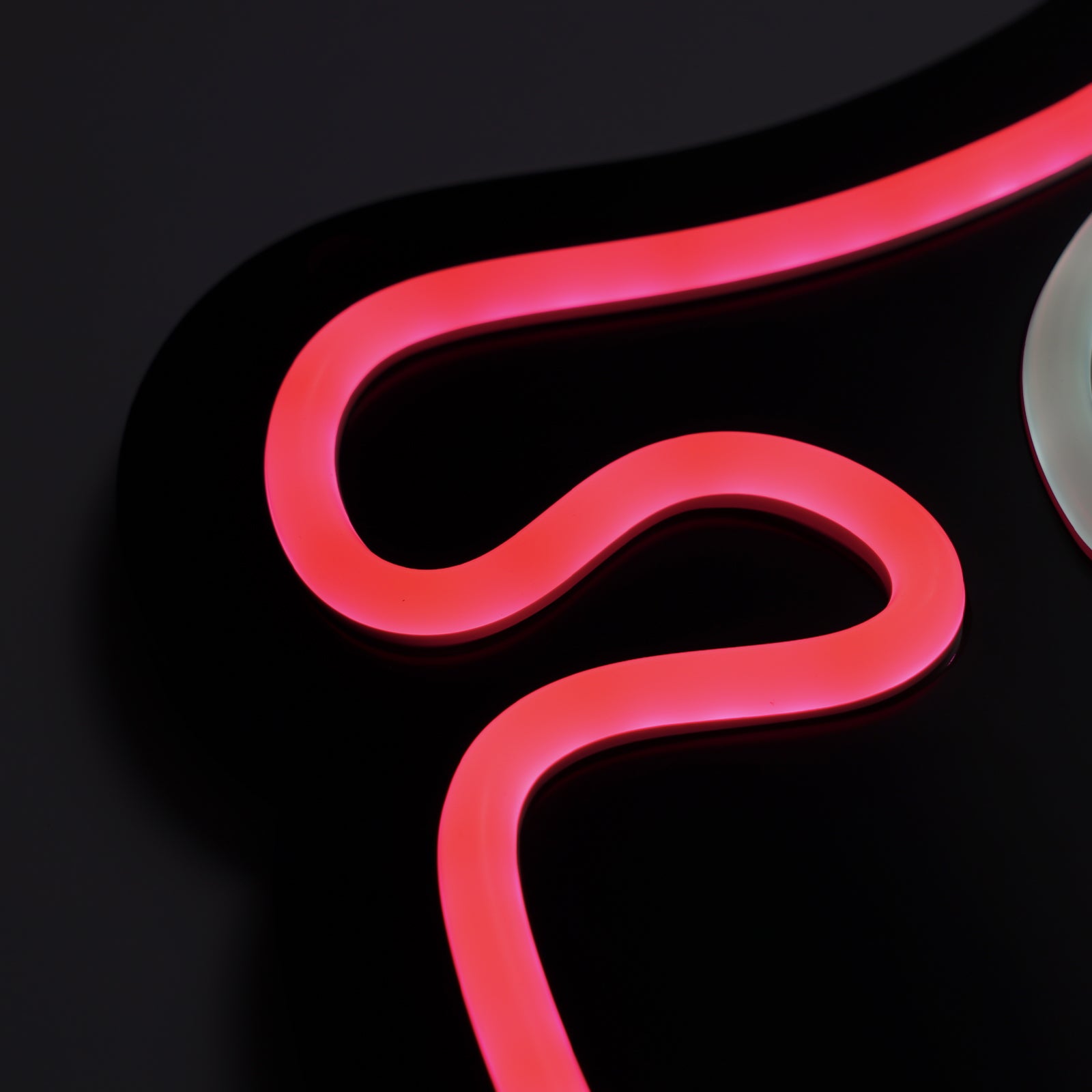 Pink Elysian Spirit Shield